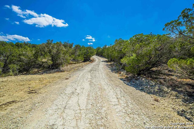 105a Oleander Property Photo 23