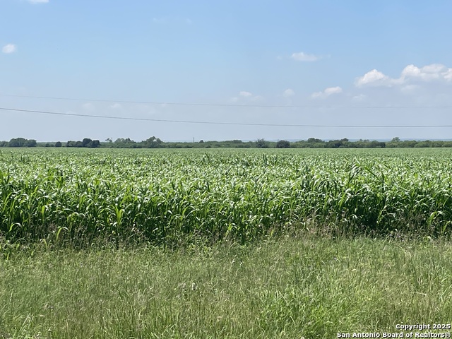 Runge Isd Real Estate Listings Main Image
