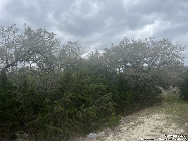 192 Macaw Ln Property Photo 3