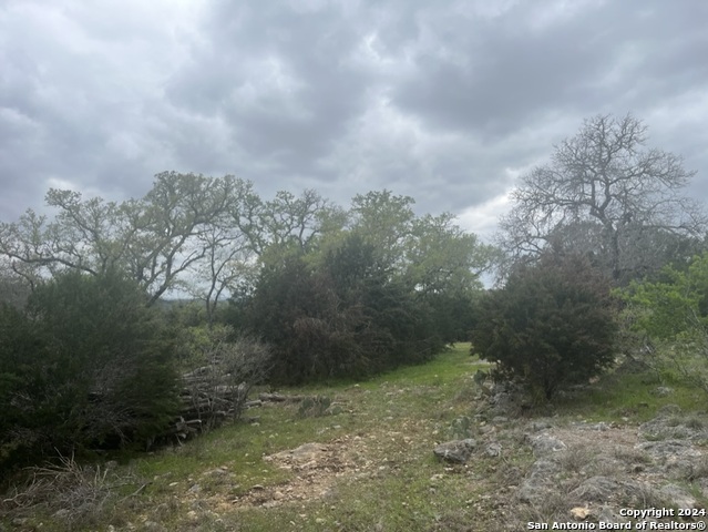 192 Macaw Ln Property Photo 9