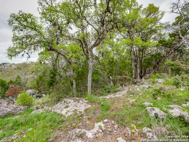 192 Macaw Ln Property Photo 18