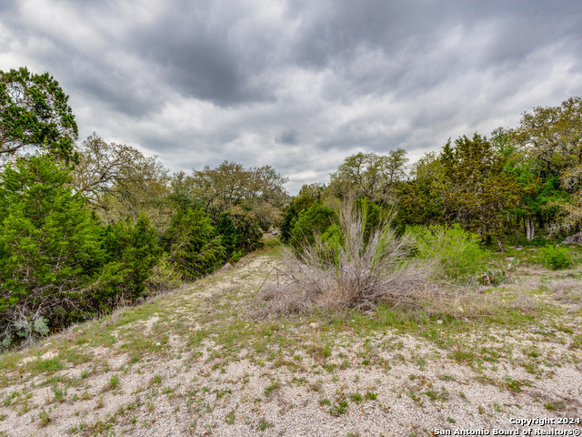 192 Macaw Ln Property Photo 22