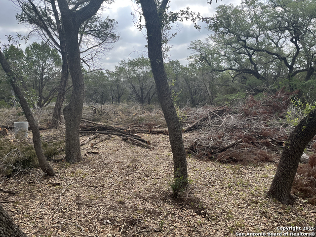 241 Restless Wind Property Photo