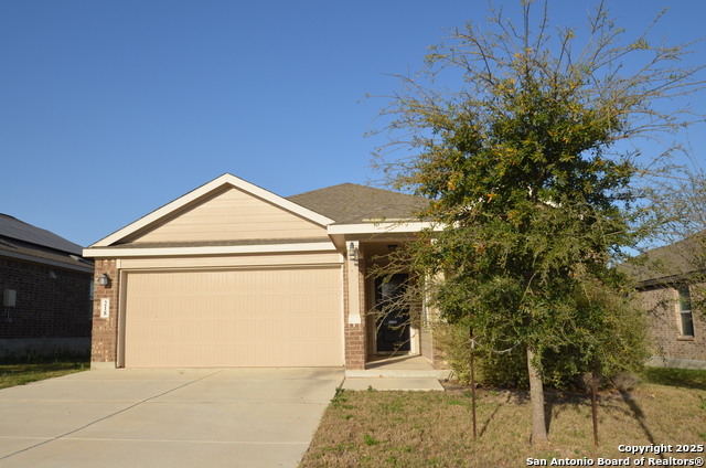 218 Holland Park Property Photo