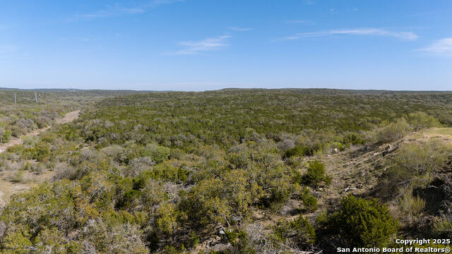 23531 Osceola Bluff Property Photo 4