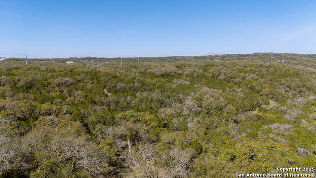 23531 Osceola Bluff Property Photo 5