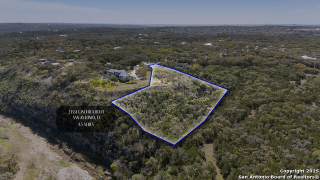 23531 Osceola Bluff Property Photo 7