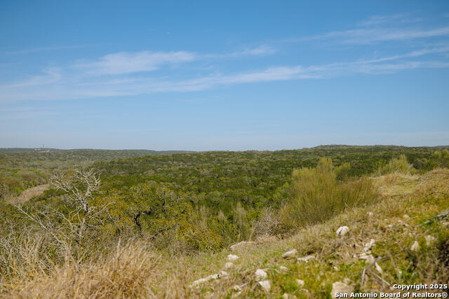 23531 Osceola Bluff Property Photo 8
