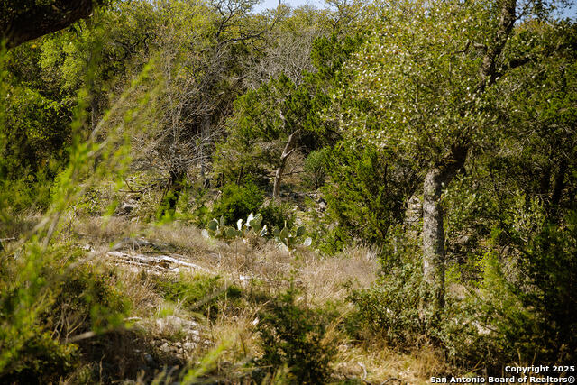 23531 Osceola Bluff Property Photo 9