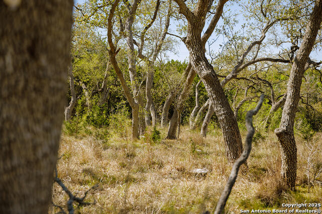 23531 Osceola Bluff Property Photo 10