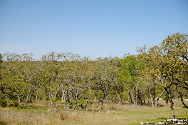 23531 Osceola Bluff Property Photo 11