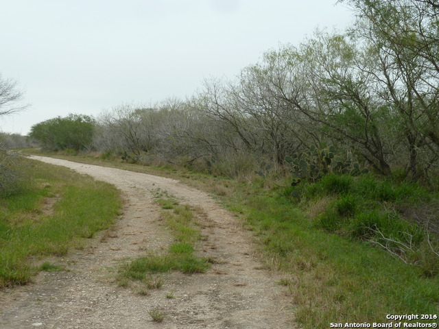 1956 Fm 1554 Property Photo 4