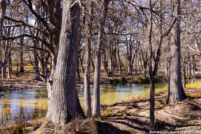 2400 Little Dry Frio Road Property Photo