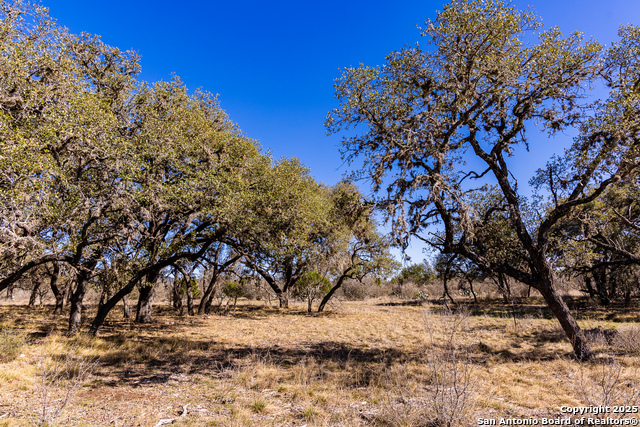 2400 Little Dry Frio Road Property Photo 12