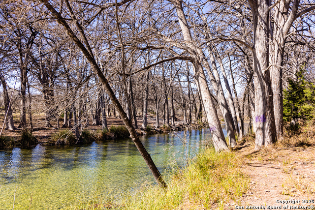 2800 Little Dry Frio Road Property Photo