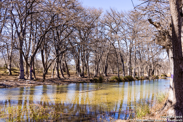 2350 Little Dry Frio Road Property Photo