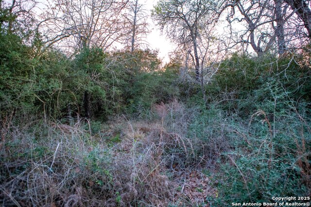 1512 Boulder Lane Property Photo 17