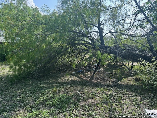 516 Bartlett Property Photo 3