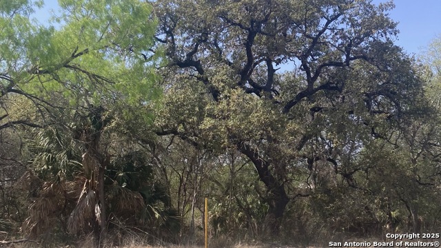 000 Fm 471 Fm 471 S Property Photo