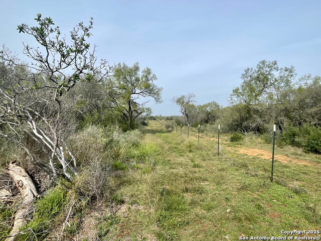 191 County Road 1670 Property Photo 5