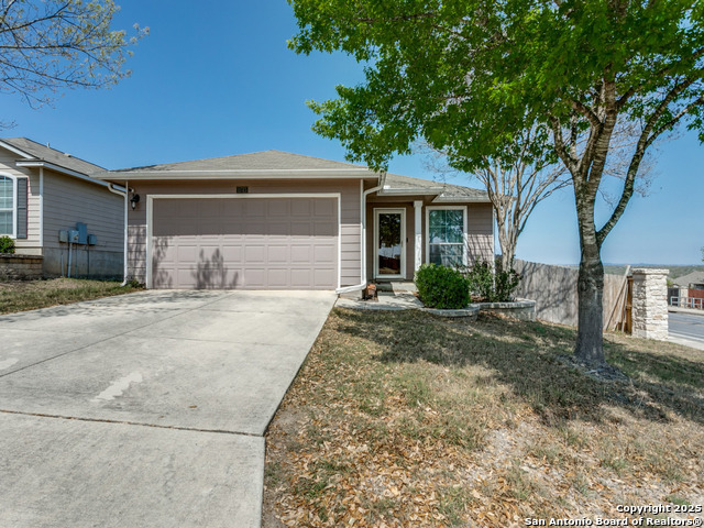 11703 Basil Grass Property Photo