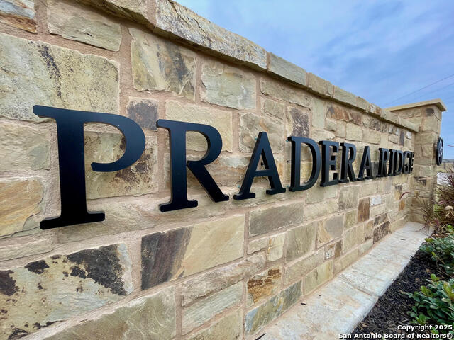 116 Pradera Ridge Dr Property Photo 2