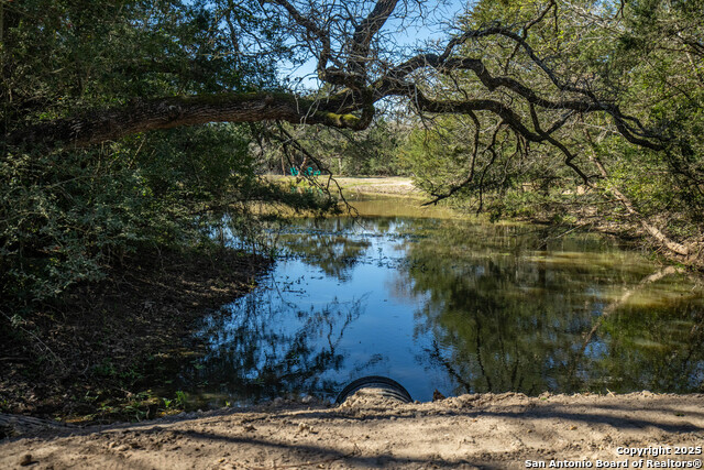 10791 Roy Road Property Photo
