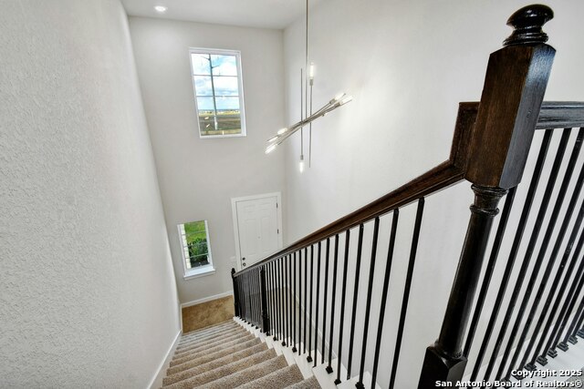 1592 Estelea Grove Property Photo 19