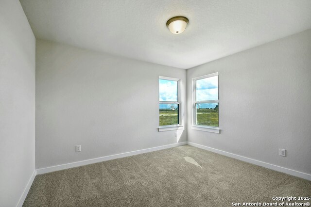 1592 Estelea Grove Property Photo 24