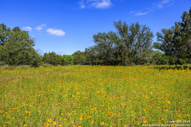 2199 Langes Mill Road Property Photo 26
