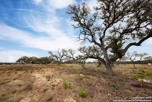 4715 S Highway 16 Property Photo 5