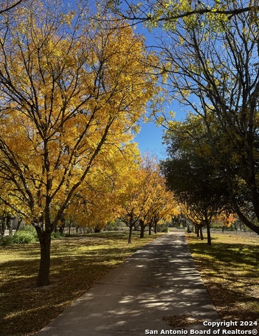 8651 Bindseil Ln Property Photo 49