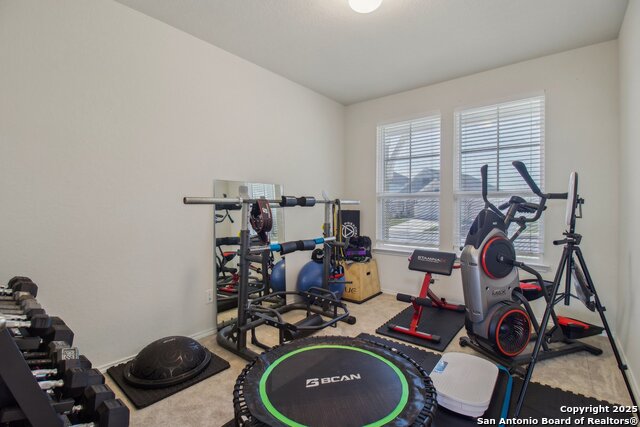 11230 Blue Feather Property Photo 21