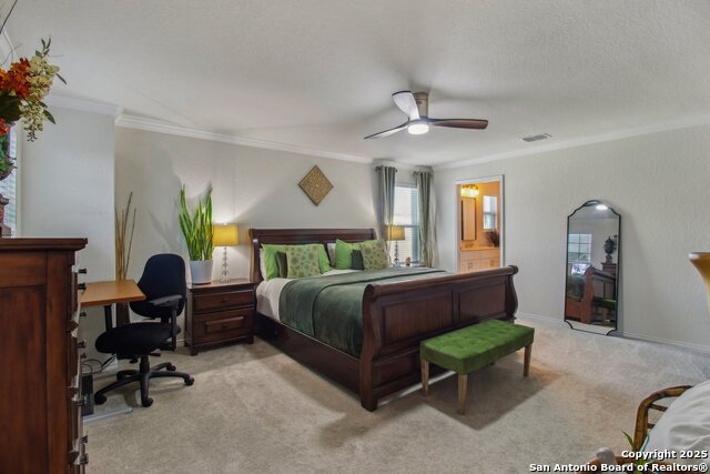 11230 Blue Feather Property Photo 25