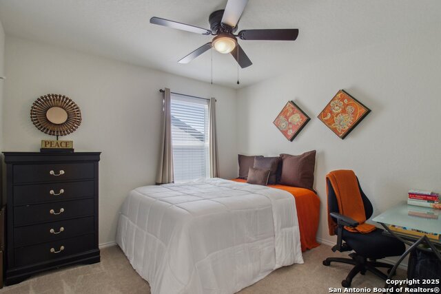 11230 Blue Feather Property Photo 29