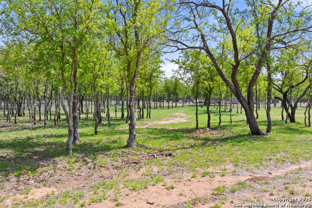10900 Ranch Road 1323 Property Photo 57