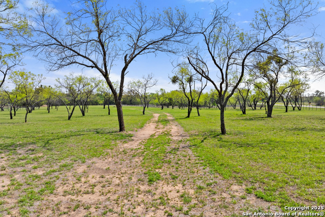 10900 Ranch Road 1323 Property Photo 58