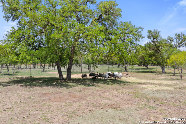 10900 Ranch Road 1323 Property Photo 62