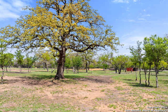 10900 Ranch Road 1323 Property Photo 63