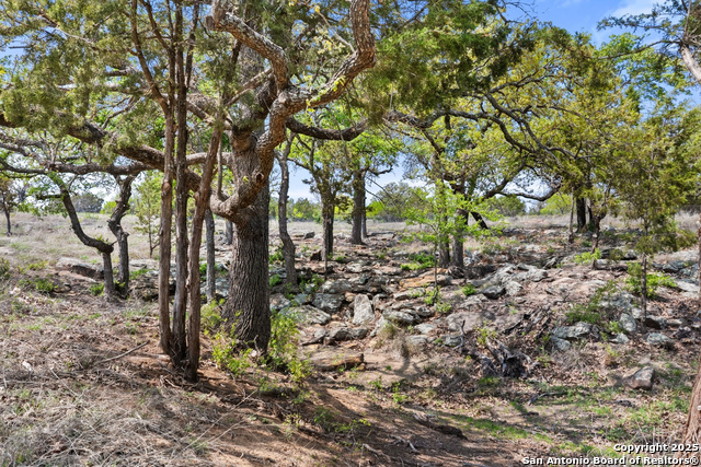 10900 Ranch Road 1323 Property Photo 64