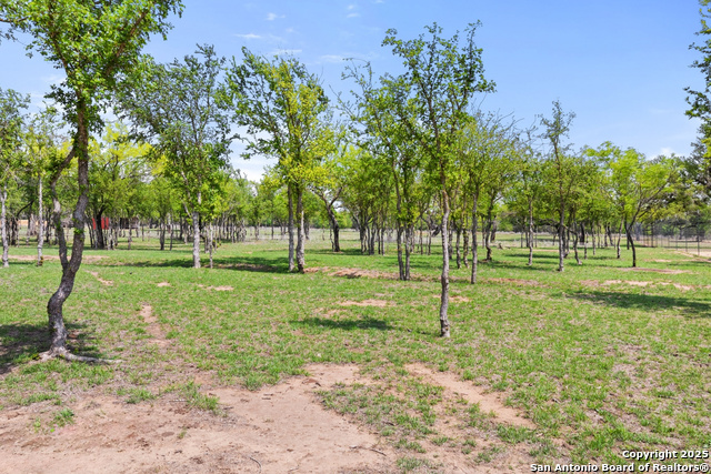 10900 Ranch Road 1323 Property Photo 65