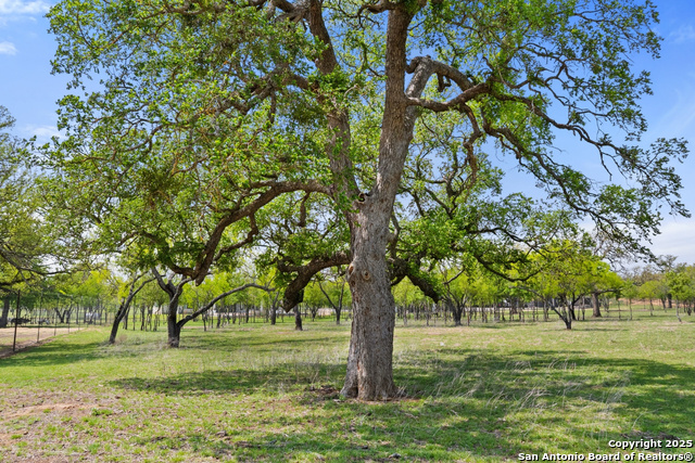 10900 Ranch Road 1323 Property Photo 66