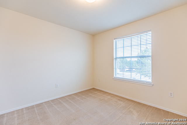 6403 Heathers Run Property Photo 27