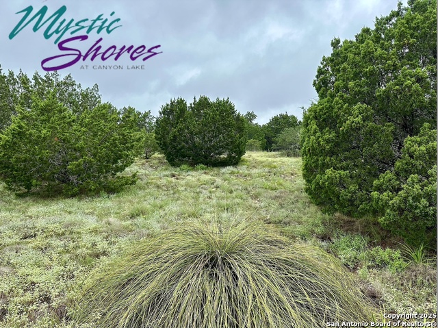 1239 Mystic Property Photo 1