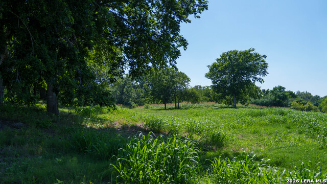Tbd Lost Acres Loop Property Photo 28