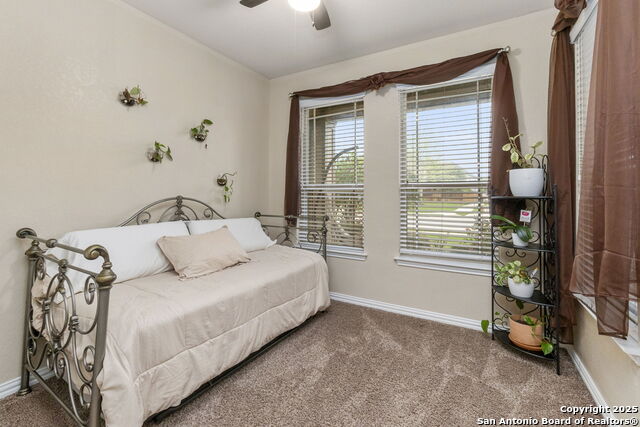 10269 Shadowy Dusk Property Photo 5