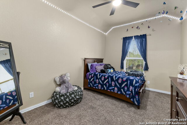10269 Shadowy Dusk Property Photo 32