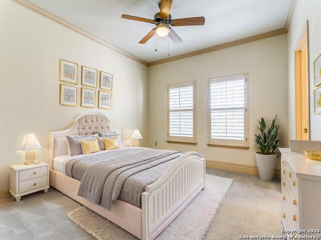 7897 Broadway Property Photo 19