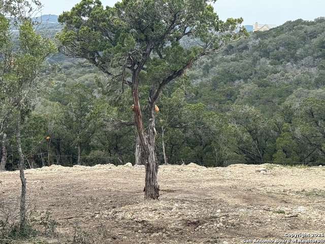 9805 Cash Mountain Property Photo