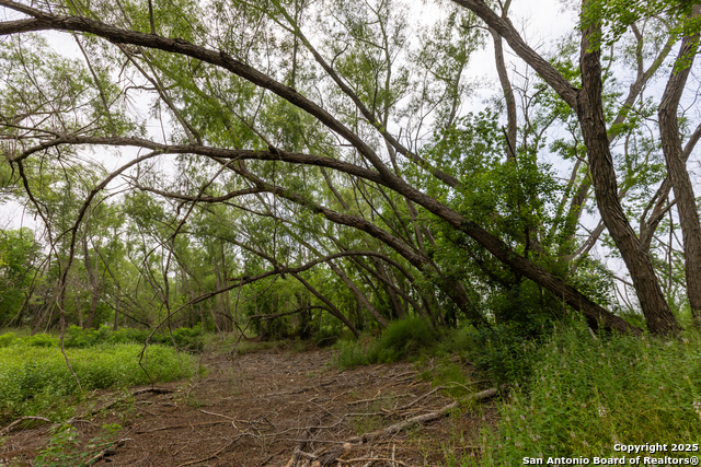 00 Shepherd Rd Property Photo 4